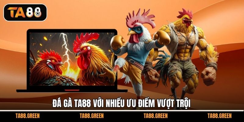 Đá gà TA88 với nhiều ưu điểm vượt trội