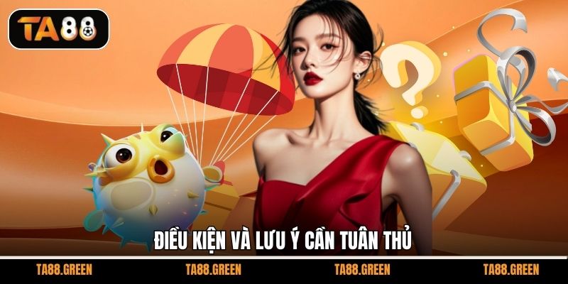 Điều kiện và lưu ý cần tuân thủ