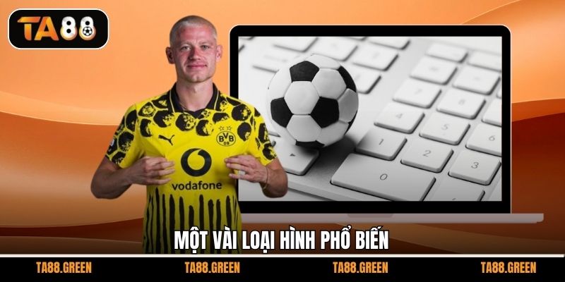 Một vài loại hình phổ biến